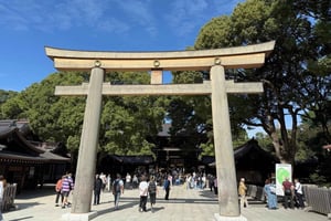 Токио: Харадзюку От храма Мэйдзи до перекрестка Сибуя