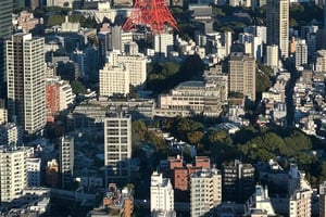 Tokyo: Harajuku, Meiji Shrine, Yoyogi Park & Roppongi Sunset