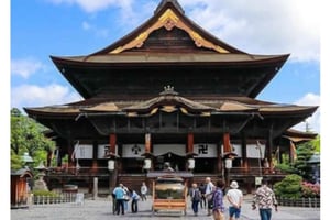 東京発：スノーモンキー＆長野 カスタマイズ可能なプライベート日帰りツアー