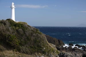 東京発：伊豆半島 崎崎岬 1日帰りツアー＆ランチ