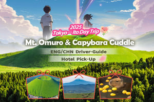 Tokyo: Izu-halvön Tåg Mt Omuro, Capybara Sightseeing Trip