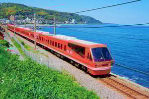 Tokyo: Izu Scenic Oceanview Train, Volcano, Coast Day Trip