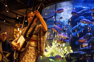 Tokyo: Japanese Experiece Dinner with Diving Ama Performance