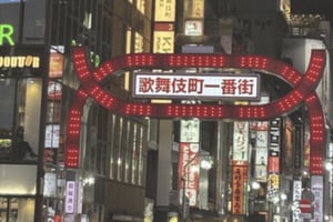 Tokyo: Kabukicho Neon Lights Guided Walking Tour
