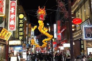 Tokyo: Kamakura and Yokohama Private Car Tour