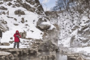 Tokyo: Luxury Snow Monkey Park Private Tour In Land Cruiser