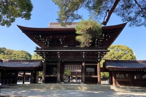 Tokyo : visite guidée du Meiji Jingu et du Kanda Myōjin
