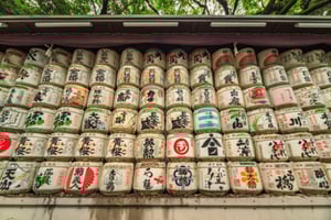 Tokyo: Meiji Shrine Walking Tour with Local Japanese Guide