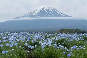 Tóquio: viagem de um dia ao Monte Fuji e ao Lago Yamanaka com recolha