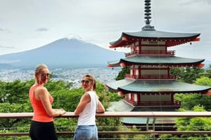 Tóquio: Excursão particular personalizada de 1 dia ao Monte Fuji e Hakone