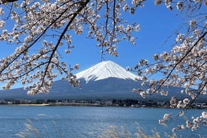 Tokio: Monte Fuji y Hakone Tour Privado de un Día