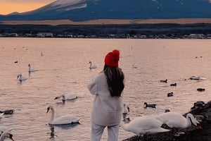 Tokyo: Privat tur til Fuji-bjerget med justerbar rejseplan