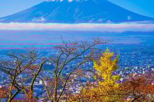 Tokyo : Mount Fuji Private Customized Tour English Guide
