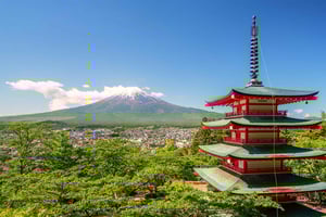 Tokyo: Mount Fuji Private Tour with Scenic Lunch Experience