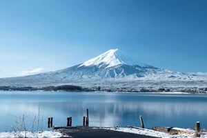 Tokio: Dagtocht naar de kersenbloesem bij de berg Fuji & Yamanaka-warmwaterbronnen