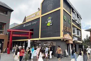 From Tokyo: Full-Day Mount Fuji Tour in English or Spanish