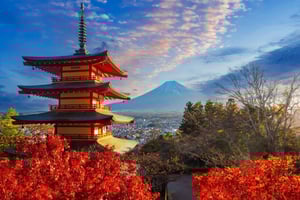 東京発：富士山、川越、ひかわ神社日帰りツアー