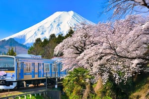 Tokyo: Mt. Fuji,Kawaguchi Lake,Scenic Cruise & Fujikyu Train