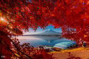 Tokio: Excursión de un día al monte Fuji y al lago Kawaguchi para Instagram