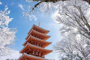 Tokio: Private, anpassbare Tagestour zu den Top-Sehenswürdigkeiten am Fuji