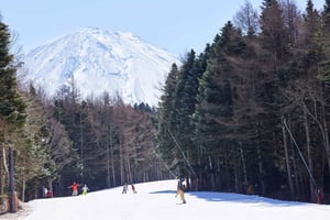 Tokyo: Mt. Fuji View with Fujiten Snow Fun & Oishi Park Tour