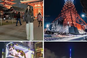 Privat tur i Tokyo om aftenen med en engelsktalende chauffør