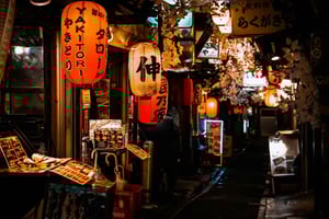 Tokyo Night Tour: Ginza Lights & Shinjuku's Golden Gai
