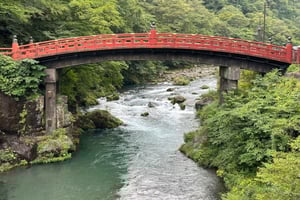 Tokio: Yksityinen luksuspäiväretki Nikkon kaupunkiin hotellin noutoineen