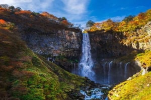 Tokyo: Nikko – dagstur med natur och naturskönhet