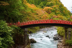 Tóquio: passeio privado de um dia a Nikko com guia punjabi