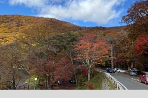 Tokyo: Nikko World Heritage Private Day Trip Hotel Pick-up
