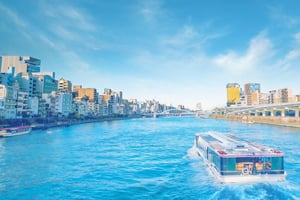 Individuelle private Kulturtour durch Tokio mit Guide