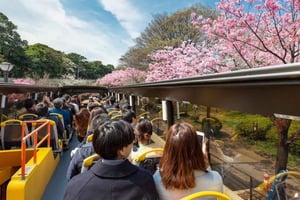 Tokyo: Open Top Sightseeing Bus with Audio Guide