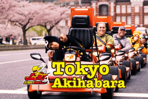Tokyo: Original Street Kart Experience from Akihabara