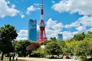 Tokyo Private 1-Day Tour by Car with English-Speaking Driver