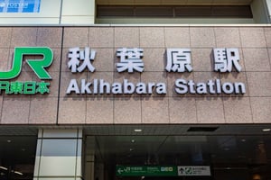 東京：秋葉原アニメ＆メイドカフェプライベートツアー