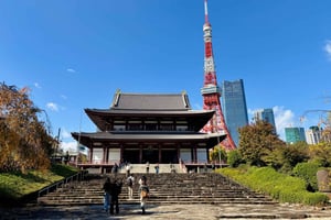 Tokyo: privat byomvisning med bil med engelsktalende sjåfør