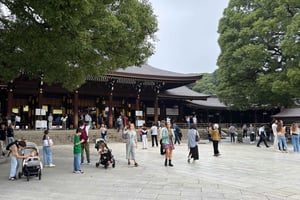 Tokyo: Private Customizable Tour with a Local Guide