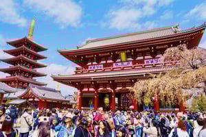 Tokyo: Private Customized 1 day Tour with Local Guides