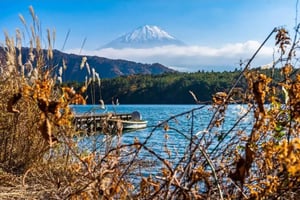 Tokyo: Private Day Trip to Mount Fuji and Hakone