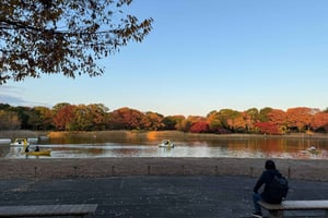 Tokyo: Private Family Park Tour with Couple Alone Time
