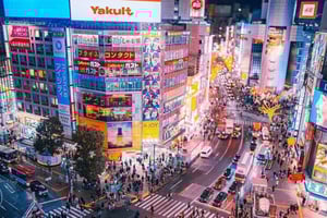 Токио: частная экскурсия с гидом и трансфером от/до отеля