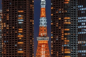 Tóquio: excursão privada de um dia à Península de Izu e Shimoda