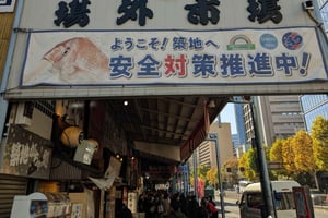 Tokio: Tour privado a pie en Español por el Mercado de Tsukiji y Ginza