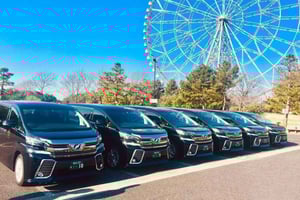 Tokyo: Narita Airport Private Transfer to/from City Center