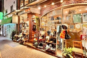 Tokyo: Private Vintage Shopping Tour in near Shibuya