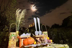 TOKYO: Pro Gardener Guides Gardens per e-bike - NACHT