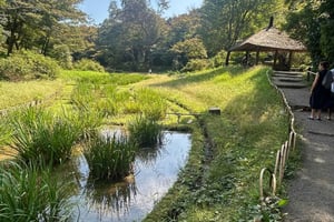 Tokyo: Shibuya & Harajuku With Meiji Shrine Prayer & Ema