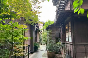 Tokyo : Stroll in the Old traditional towns~Yanaka & Nezu