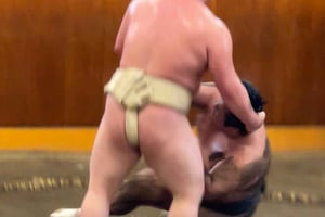 Tokyo: Sumo-morgonträning med foto, Banzuke och guide